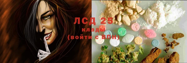 mdpv Бородино