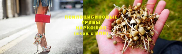 ПСИЛОЦИБИНОВЫЕ ГРИБЫ Бугульма
