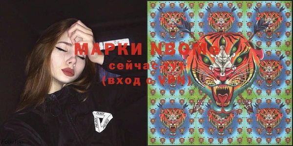 mdpv Бородино