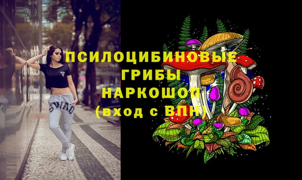 mdpv Бородино