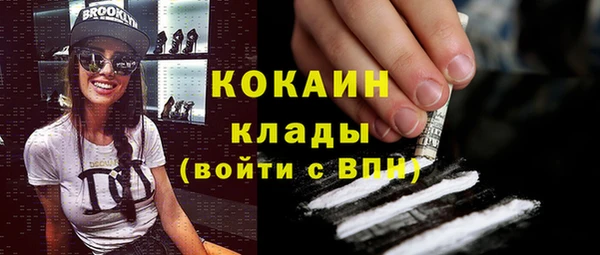 mdpv Бородино